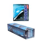 آدامس ویویدنت استورمینگ نعنا یخی (اکالیپتوس) بدون شکر