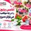 موقعیت های مناسب سرو آدامس بدون قند در مهمانی، محیط کار، سفر، دورهمی دوستانه و پس از صرف غذا